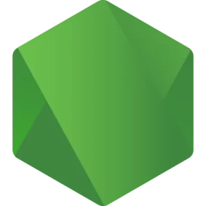 Node JS
